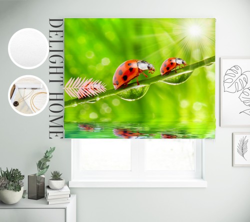 

Римская штора с фотопечатью 08-132 система Light I&H Джуси велюр 230*170 см