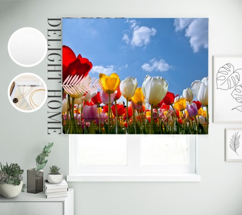 

Римская штора с фотопечатью 03-187 система Light I&H Джуси велюр 70*170 см