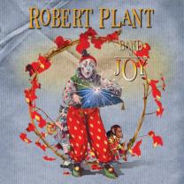 

Виниловая пластинка Robert Plant - Band Of Joy 2 LP Set 2010 (2742241, 180 Gr.) Ois, Gat, Es Paranza/USA Mint (art.236937)