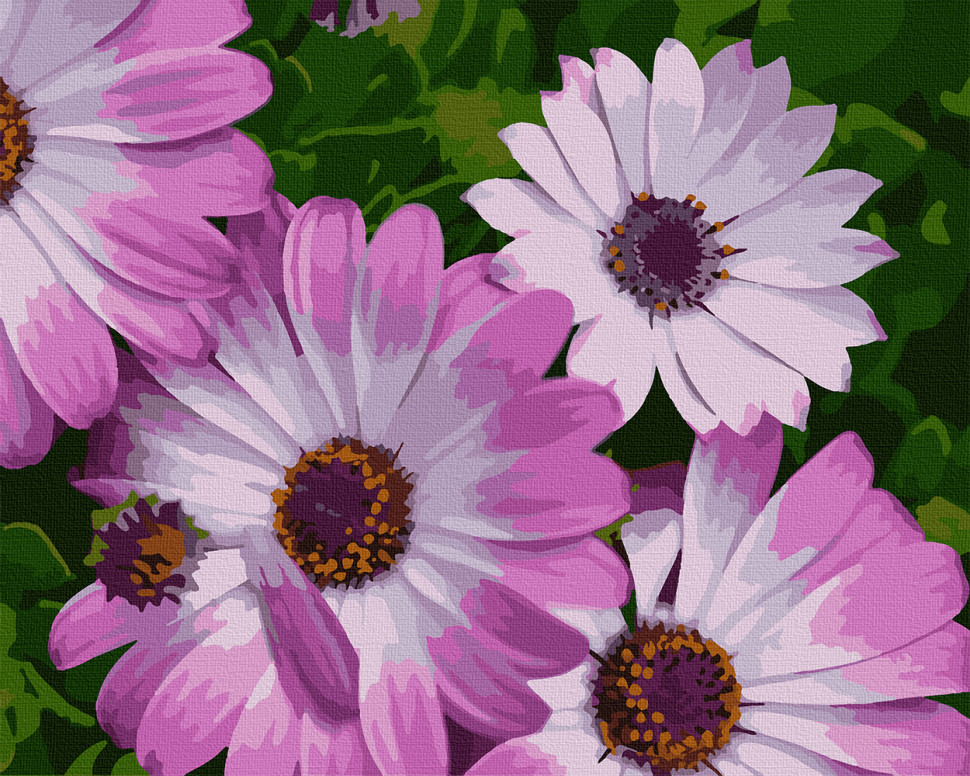 

Картина по номерам Art Craft "Африканские ромашки" 40*50 см 13113-AC 164792