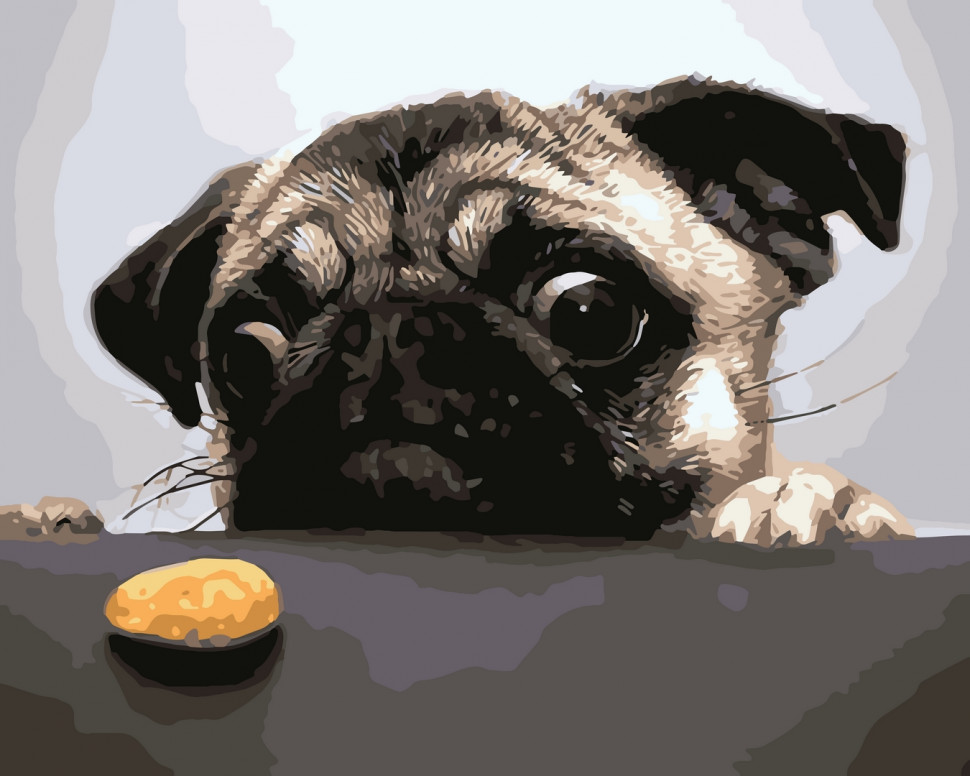 

Картина по номерам Art Craft "Недостижимая печенька" 40*50 см 11601-AC 164513