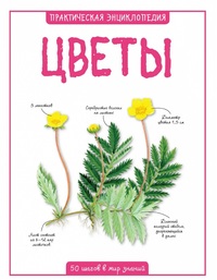 

Цветы (15321841)
