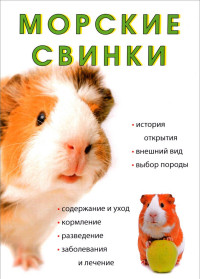 

Морские свинки
