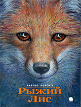 

Рыжий Лис (15653913)