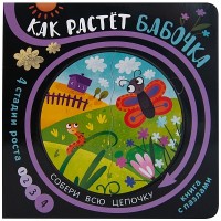 

Как растет бабочка (15524341)