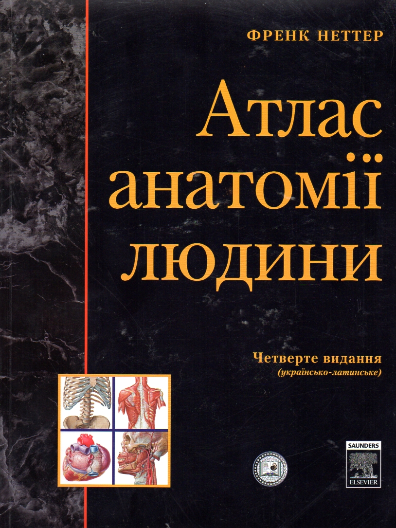 

Атлас анатомії людини. 4-те видання (мг)