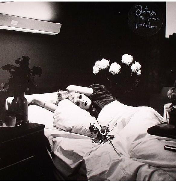 

Виниловая пластинка Antony & the Johnsons I Am a Bird Now (арт. 8572)
