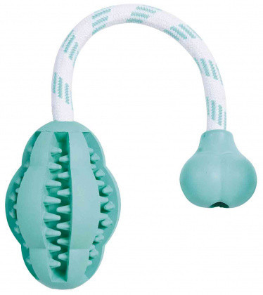

Мяч на веревке для дрессировки собак Denta Fun с мятным вкусом 8/28см Trixie 32945