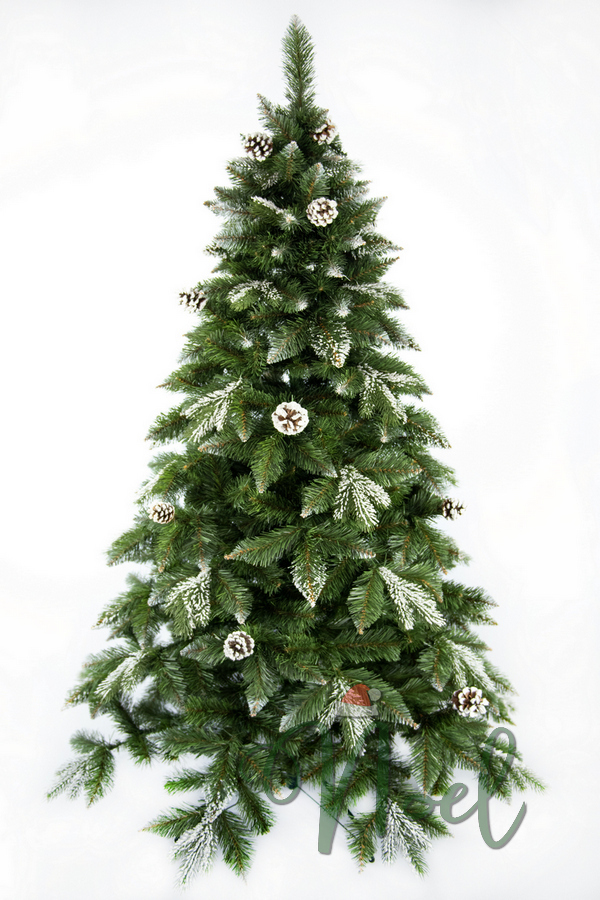 

Ель Канадская Noel 1,0м