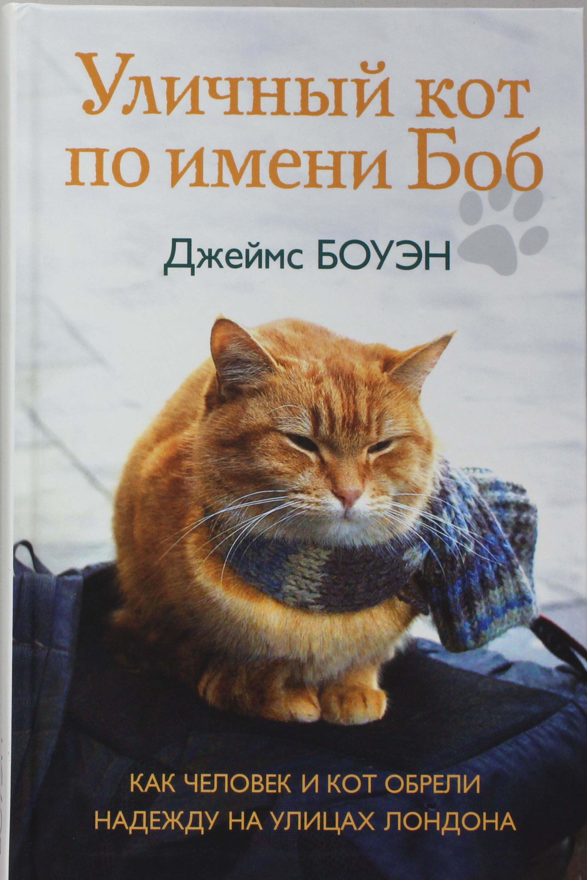 

Уличный кот по имени Боб