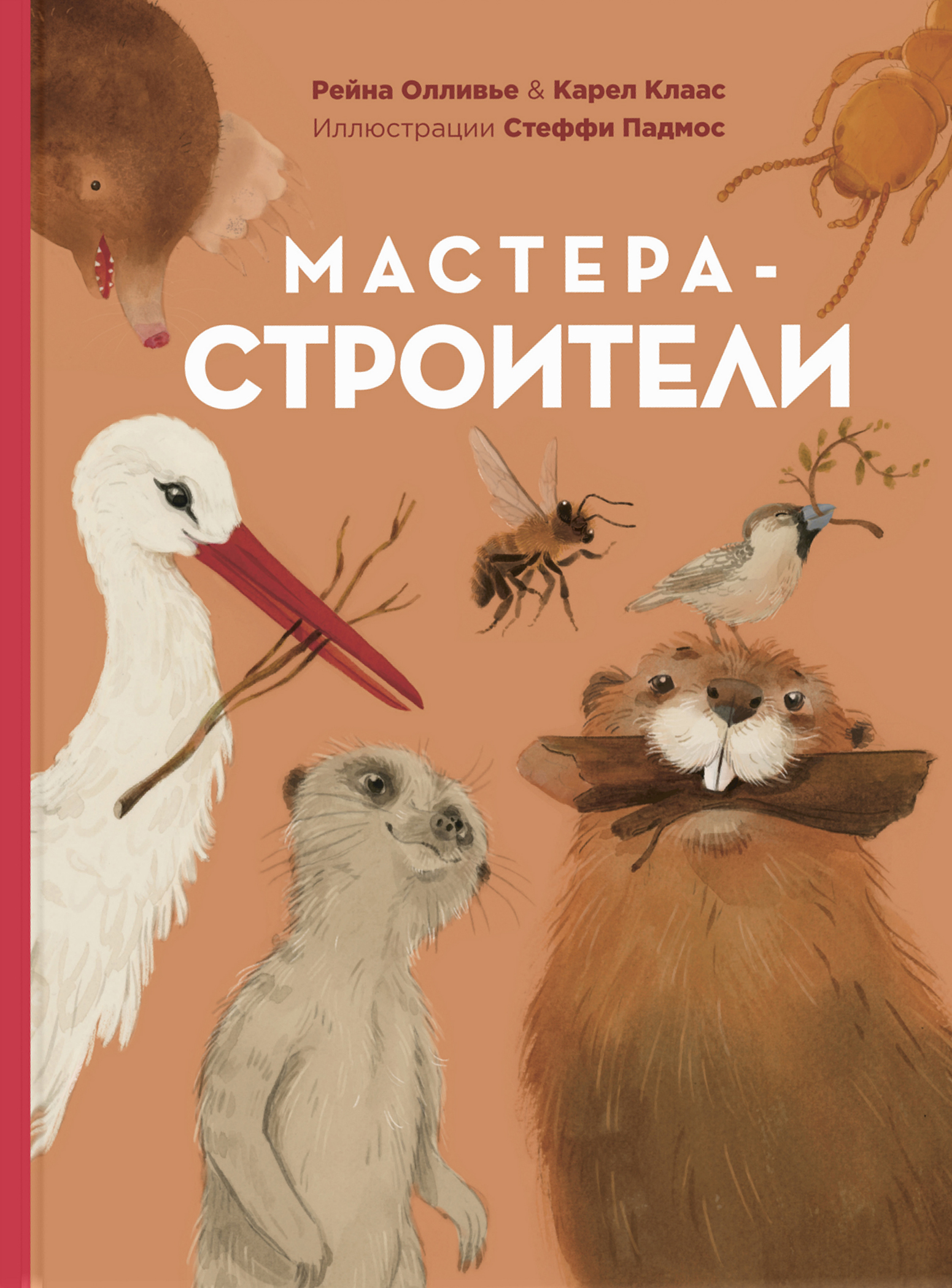 

Мастера-строители - Карел Клаас, Рейна Олливье (978-5-91921-873-9)