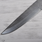 Нож фиксированный Колодач Осетр (длина: 236мм, лезвие: 140мм) - изображение 3