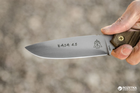 Туристический нож TOPS Knives Baja 4.5 (2000980436682) - изображение 4