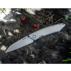 Нож складной Ruike P831-SF 2000000022550 - изображение 4