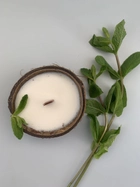 Ароматическая свеча Tvoj svet соевая в скорлупе кокоса с добавлением натуральных эфирных масел Мята - изображение 1