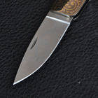 Нож складной GIGAND FC-9788E Гепард (длина: 18.0см, лезвие: 7.7см) - изображение 3