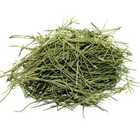 Хвощ польовий (трава) 1 кг - зображення 1
