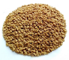 Пажитник сінний Шамбала (насіння) 1 кг - зображення 1