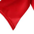 Бондажная стрічка Silky Sash Restaints колір червоний (15982015000000000) - зображення 4