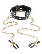 Ошейник с зажимами для сосков Fetish Fantasy Gold Collar and Nipple Clamps (15344000000000000) - изображение 1