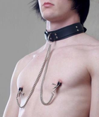 Нашийник з зажимами для сосків Leather Collar with Tweezer Nipple Clamps (13022000000000000) - зображення 4