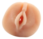 Мастурбатор Chisa Novelties Sashas Realistic Vagina (20589000000000000) - зображення 3