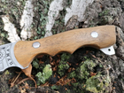 Охотничий нож Пума Profi Туристический нож для отдыха - изображение 3