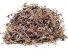 Чабрец (трава) 0,5 кг - изображение 1
