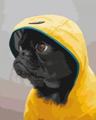 Картина за номерами Мопс в худи (BS52614) Brushme 40x50 см Brushme