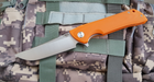 Нож складной карманный Bestech Knife PALADIN BG13C-1 (90/215 мм) - изображение 6