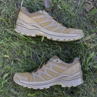 Чоловічі тактичні кросівки LOWA Innox PRO Lo TF 310835/0731 46 Coyote OP (2000980495993) - зображення 7