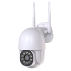 Уличная поворотная IP камера Micro SD NJ PRO 2 mp 1080 Vision 360 Белый (719NJKMRNBLD) TIN66