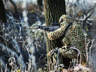 Маскувальний Камуфляжний Костюм Компактний Військовий з капюшоном для снайпера - Multicamo - зображення 5