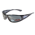 Бифокальные поляризационные очки BluWater Bifocal-3 Polarized (gray) серые - изображение 1