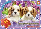 Пазлы "Кавалер-Кинг-Чарльз-Спаниель", 35 элементов G-Toys (AN143)
