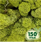 Стабилизированный мох ягель Nordic moss Зеленый светлый 150 грамм - изображение 1