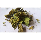 Щавель кінський листя сушене (упаковка 5 кг) - зображення 1