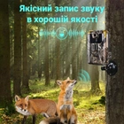 WiFi Фотоловушка, камера для охоты с 2.7К разрешением Suntek WiFi900plus, 30 Мп, приложение iOS / Android - изображение 8