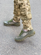 Кроссовки женские тактические ShoesBand Хаки Натуральный нубук с текстильной сеткой 38 (24,5-25 см) (S32011) - изображение 2