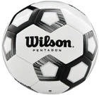 Мяч футбольный Wilson Pentagon Size 5 White (WTE8527XB05)
