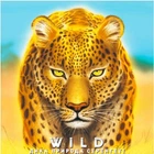 Настільна гра Geekach Games Дика природа. Серенгеті (Wild: Serengeti)