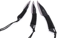 Метательные ножи набор 3 штуки в чехле нержавеющая сталь "Скорпион" Черные - изображение 3