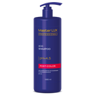 Шампунь кислотный з дозатором Master LUX Professional Acid Shampoo Post Color 1000 мл (19248WB)