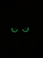 Шеврон на липучке Совиные глаза 8см х 4см олива (12012) - изображение 2