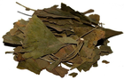 Гинкго Билоба (листья) 0,25 кг - изображение 1