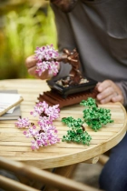 Zestaw klocków LEGO Creator Expert Drzewko bonsai 878 elementów (10281) - obraz 10
