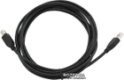 Kabel Cablexpert USB 2.0 AM - BM 3 m (CCP-USB2-AMBM-10) - obraz 3