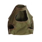 Подсумок Flyye RAV Gas Mask Bag Ranger Green - изображение 2