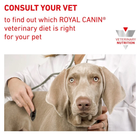 Вологий корм для дорослих собак Royal Canin Recovery 195 г (9003579307717) - зображення 6