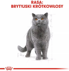 Mokra karma dla dorosłych kotów Royal Canin Adult British Shorthair 12 x 85 g (9003579001240) - obraz 4